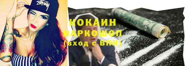 мдпв Богородицк