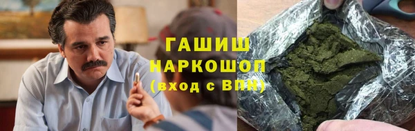 молекула духа Богданович