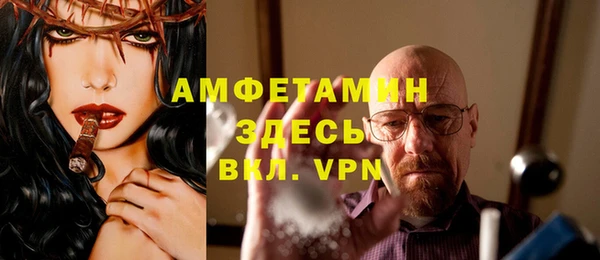 молекула духа Богданович