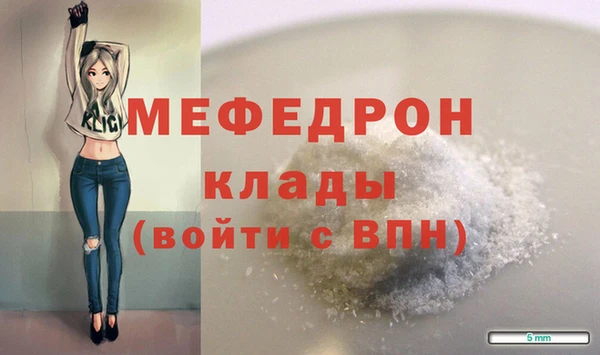 молекула духа Богданович
