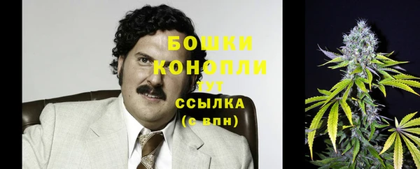 молекула духа Богданович
