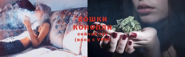 apvp Богородск