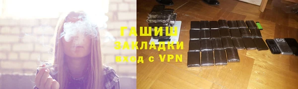 молекула духа Богданович