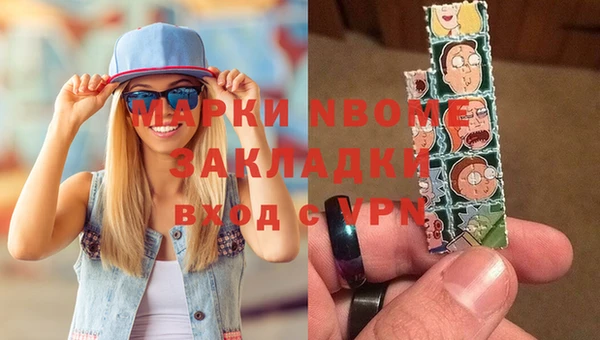 молекула духа Богданович