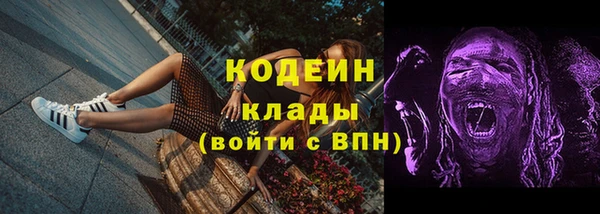 мдпв Богородицк