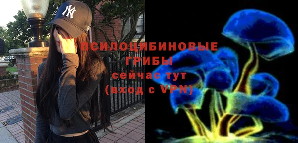 молекула духа Богданович