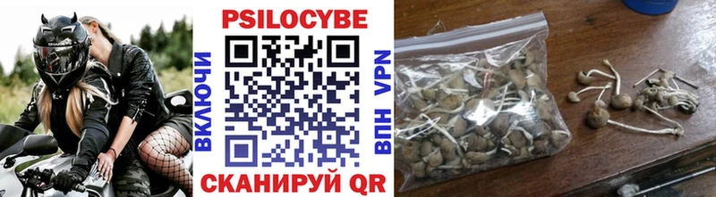 Купить где  Покачи  Галлюциногенные грибы мицелий 